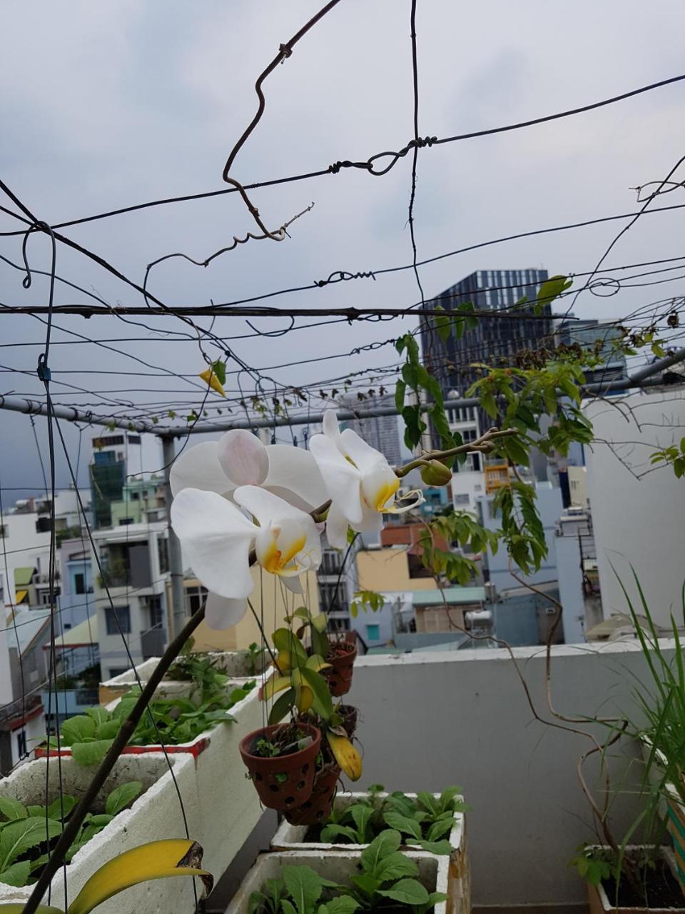 Apartamento Urban House Saigon 2 Ciudad Ho Chi Minh  Exterior foto